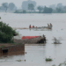 Torrential rains deepen flood misery in Punjab; more villages submerged