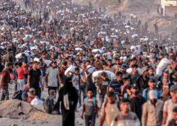 Israeli strikes kill 47 more Palestinians in Gaza