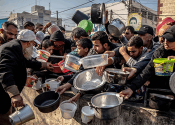 One in three Palestinians in Gaza going days without food, warns UNICEF