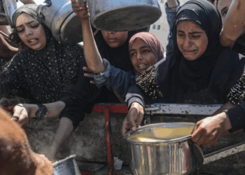 Over 100 aid groups urge Israel to end ‘Weaponisation of Aid’ in Gaza as starvation deepens