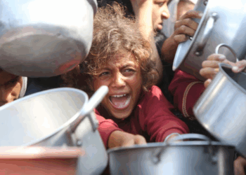 Gaza city officially in famine, hunger spreading, says global monitor