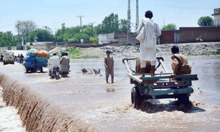 PM deploys ministers to oversee KP flood relief as toll hits 323