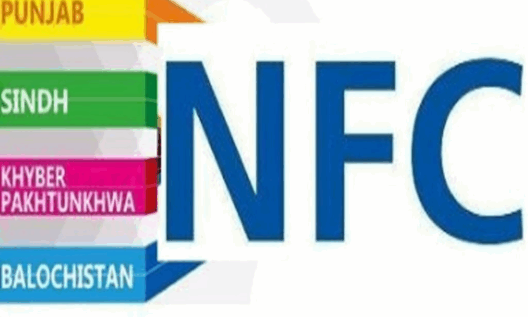 President Zardari forms 11th NFC to determine revenue-sharing formula