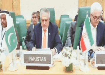 OIC rejects ‘Greater Israel’ plan, calls for UN action and sanctions on Israel