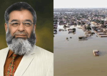 A defence without dams