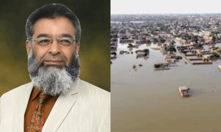 A defence without dams