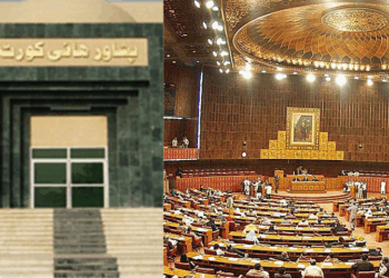 PHC halts appointment of new opposition leaders in NA, Senate