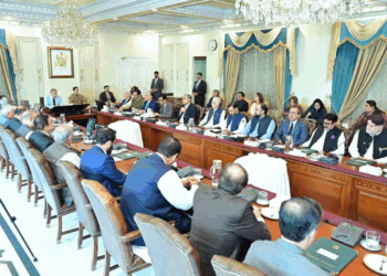 PM pledges rapid relief, rehabilitation in flood-hit KP