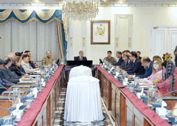 PM Shehbaz announces federal cabinet’s one-month salary for flood victims, orders intensified relief in KP, GB, and AJK