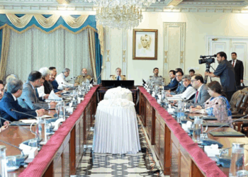 PM Shehbaz orders urgent reforms for small farmers and FBR modernization