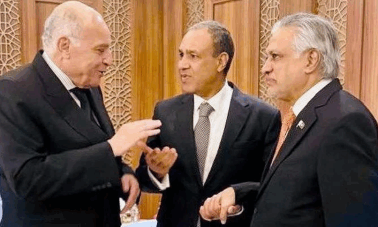 Dar reaffirms Pakistan’s commitment to deepen ties with brotherly nations