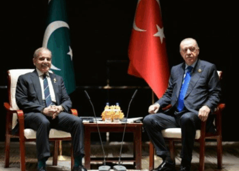 Shehbaz, Erdogan reaffirm strong Pakistan-Turkiye ties at SCO Summit in Tianjin
