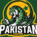 PCB bans use of Pakistan's name in private leagues after WCL controversy