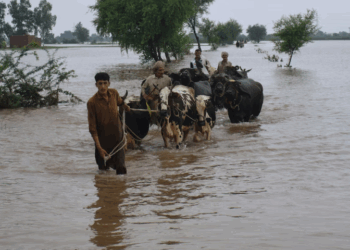 Punjab battles worst floods in decades; millions displaced