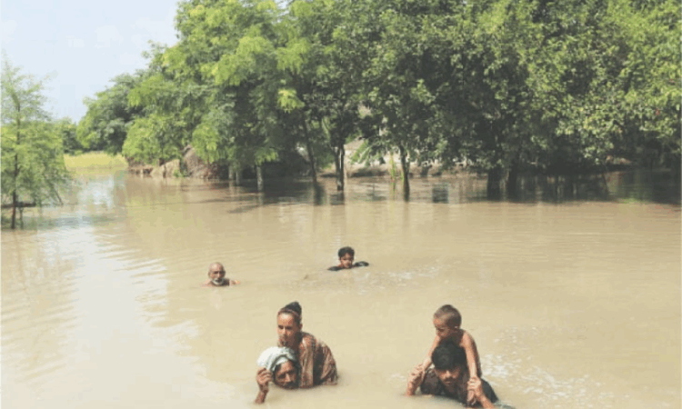 Punjab grapples with widespread floods: over 1.5 million affected, relief and rescue efforts intensify