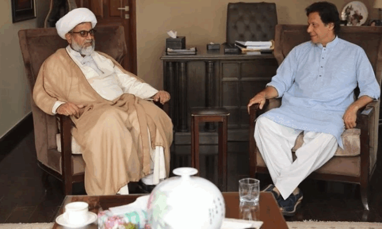 Imran Khan nominates Raja Nasir Abbas as Opposition Leader in Senate