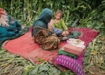 Afghanistan earthquake kills 800, injures thousands as Taliban appeals for global aid