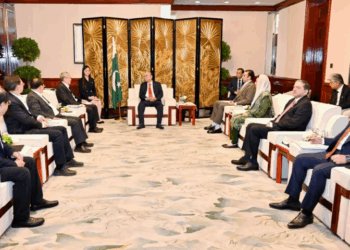 Zardari meets Chery Chairman, seeks investment in EVs and green solutions