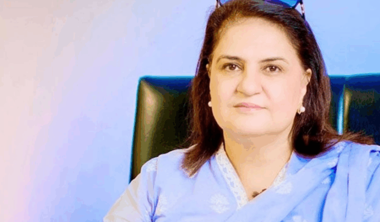 BISP chairperson calls for declaring flood-hit areas disaster zones