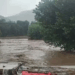 Buner floods wreak havoc: homes submerged, crops destroyed, families displaced