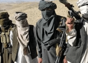 Over 8,000 TTP terrorists active in KP, setting up roadblocks: Officials