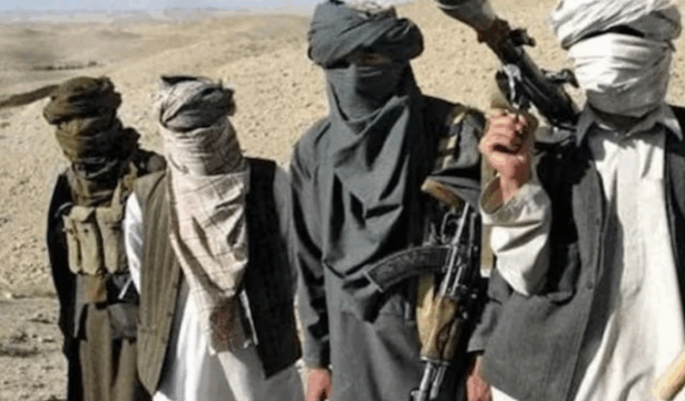Over 8,000 TTP terrorists active in KP, setting up roadblocks: Officials