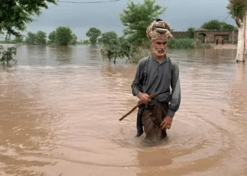 Punjab on high alert as rivers swell amid India’s water releases