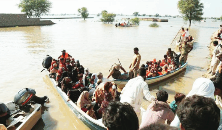 Punjab launches flood damage survey as death toll rises to 112; dengue fears loom