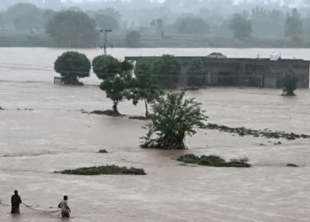 Devastating floods ravage Punjab: embankments blown Up, villages submerged, crops destroyed