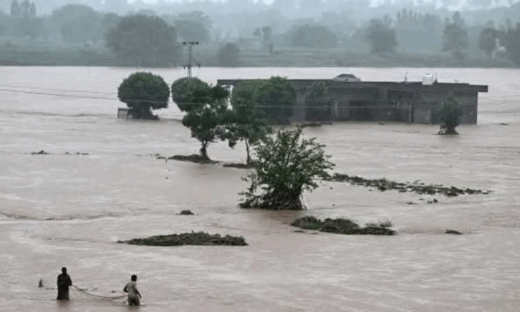 Devastating floods ravage Punjab: embankments blown Up, villages submerged, crops destroyed