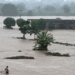 Devastating floods ravage Punjab: embankments blown Up, villages submerged, crops destroyed