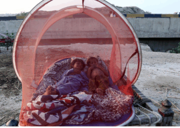 Punjab reels under dual crisis as disease outbreaks follow devastating floods