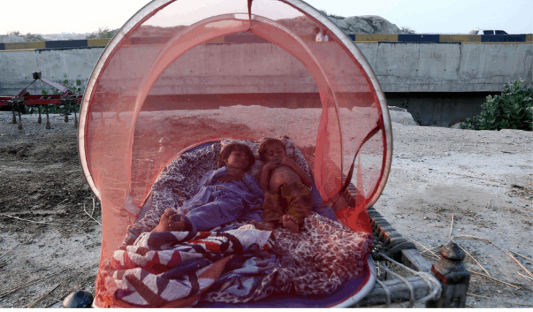 Punjab reels under dual crisis as disease outbreaks follow devastating floods