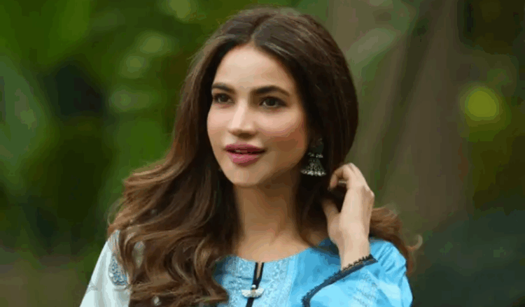 Humaira Asghar case: Police medical report finds blood on actress’ clothes