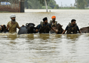 Dozens of villages cut off after deadly floods in India
