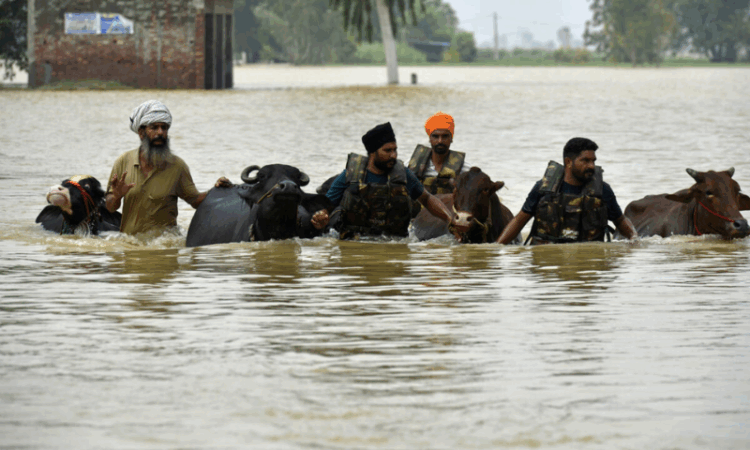 Dozens of villages cut off after deadly floods in India