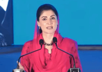 Maryam launches flood loss survey in Punjab