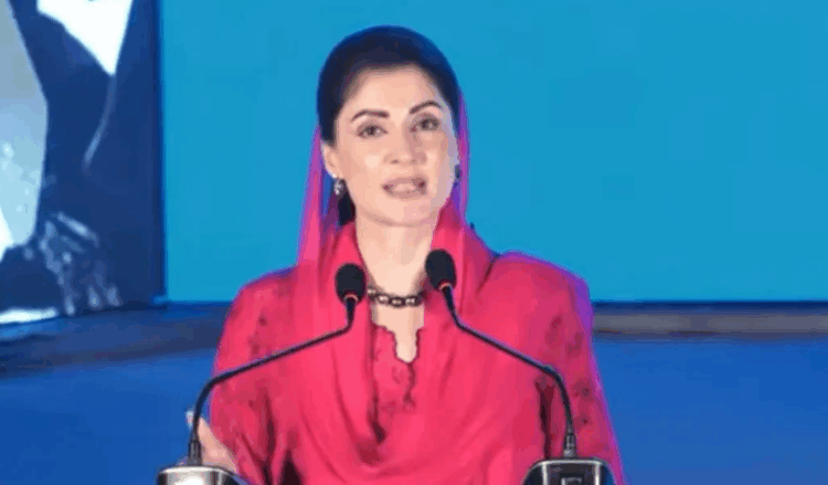 Maryam launches flood loss survey in Punjab