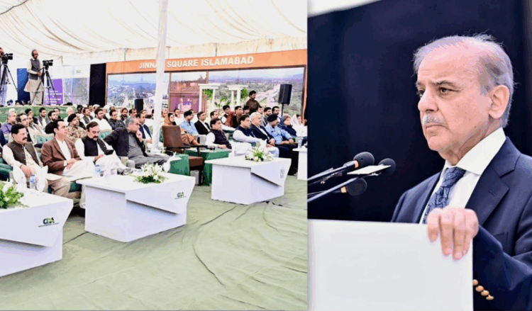 Pakistan to host Next SCO Summit, PM Shehbaz announces