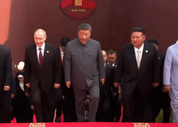 PM Shehbaz attends China’s WWII victory day parade alongside global leaders