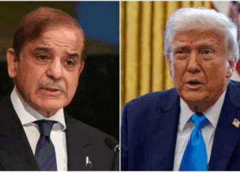 PM Shehbaz to lead Pakistan at 80th UNGA session in New York