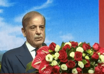 PM Shehbaz hails China’s role in Pakistan’s economic recovery, assures security of Chinese nationals