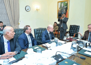 PM Shehbaz reaffirms Pakistan’s unwavering support for Palestine