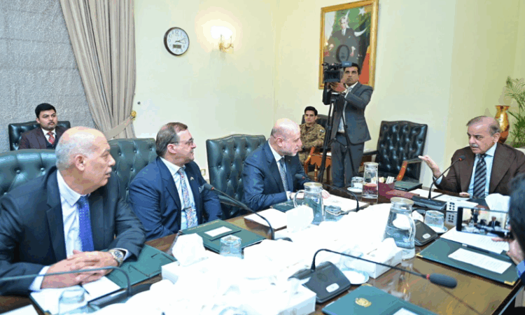 PM Shehbaz reaffirms Pakistan’s unwavering support for Palestine