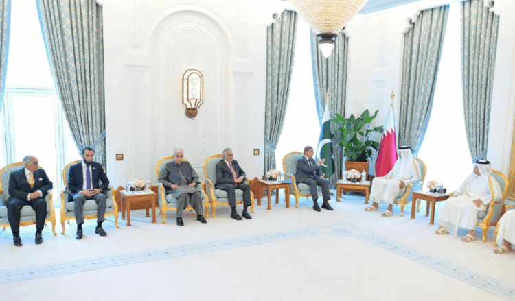 PM Shehbaz calls for end to Israel's 'brazen aggression' in Doha talks with Qatari Emir