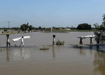 Pakistan monsoon death toll nears 1,000 as floodwaters shift from Punjab to Sindh
