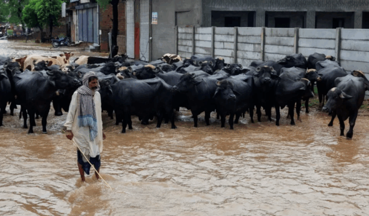 WFP report reveals devastating impact of floods across Pakistan