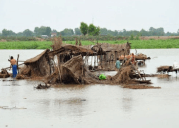 Punjab reels under devastating floods as India releases more water into Sutlej