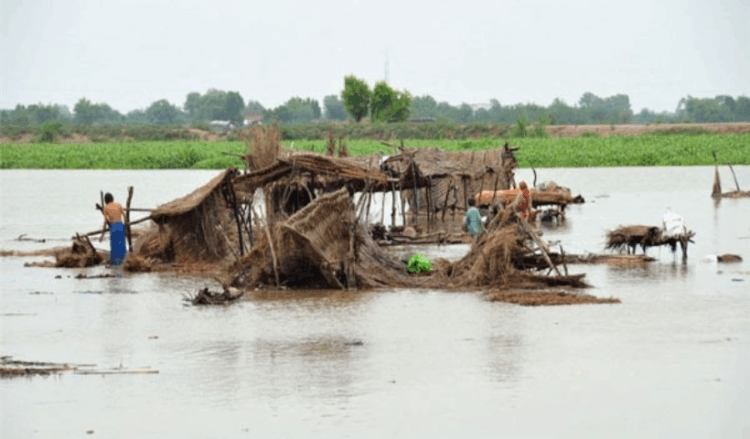 Punjab reels under devastating floods as India releases more water into Sutlej