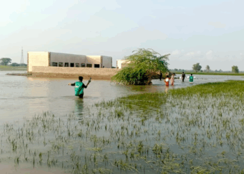 Punjab rivers on high flood alert as heavy rains, Indian water release intensify threat